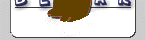Bear Computing Logo